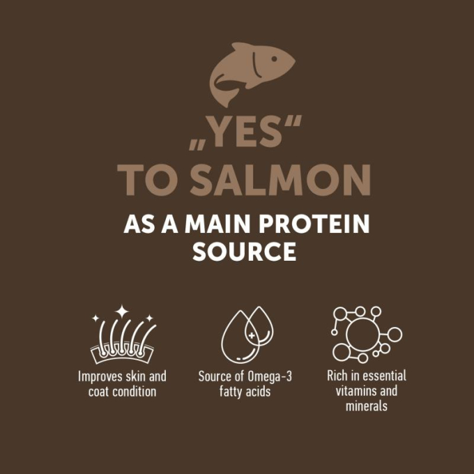 dry grain free food for senior cats with salmon - 3