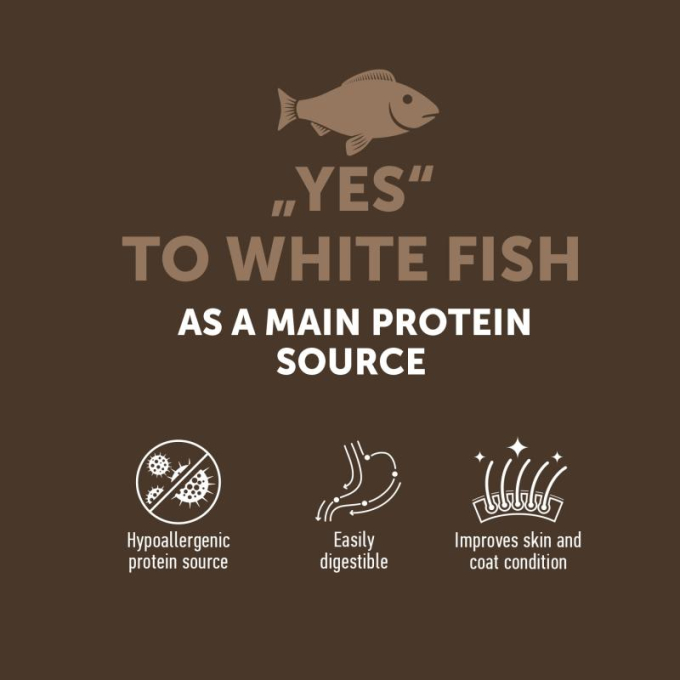dry grain free food for adult cats with white fish after sterilisation - 2