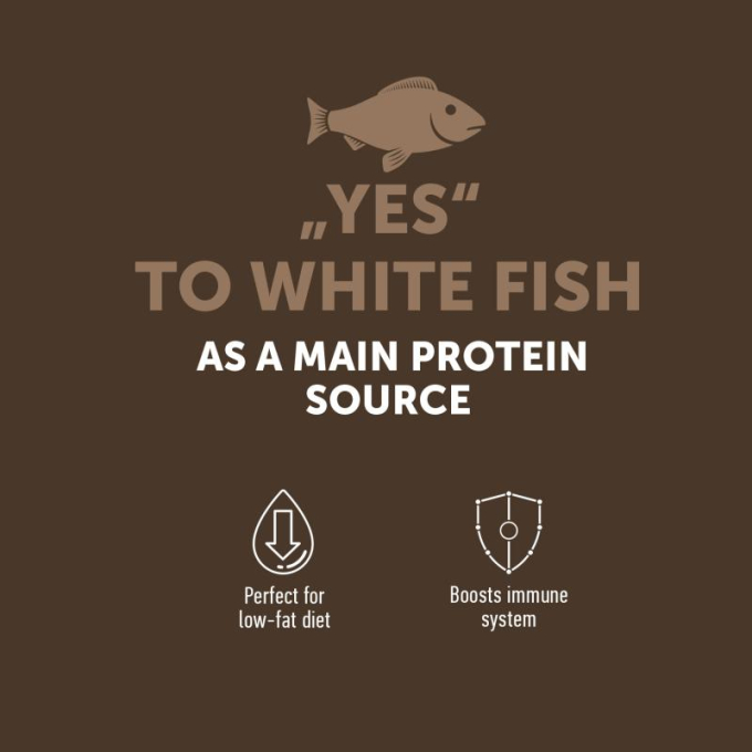 dry grain free food for adult cats with white fish after sterilisation - 3