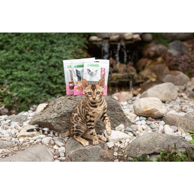 snacks for cats, dried sunfish - 3