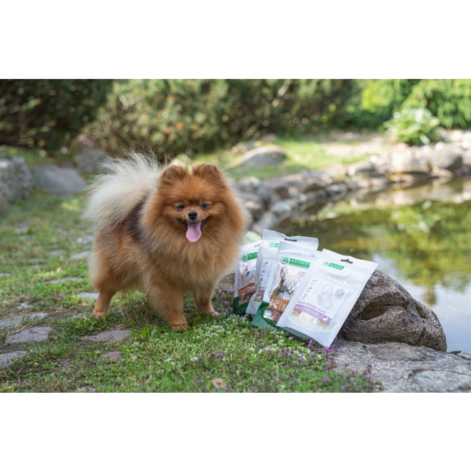 snacks for dogs soft duck slices - 2