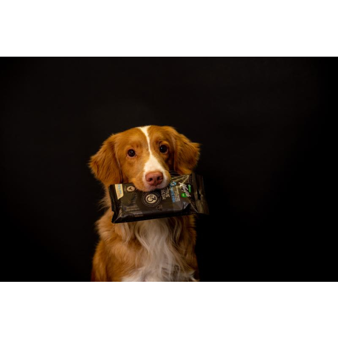 complementary grain free feed – snacks for adult dogs with salmon - 4