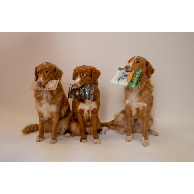 complementary feed – snacks for adult dogs of all breeds with poultry - 5