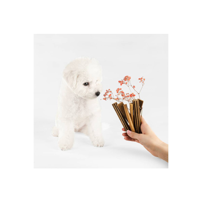 complementary grain free feed – snacks for junior dogs with salmon - 3