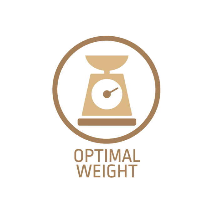 snack for dogs lamb sticks - 4