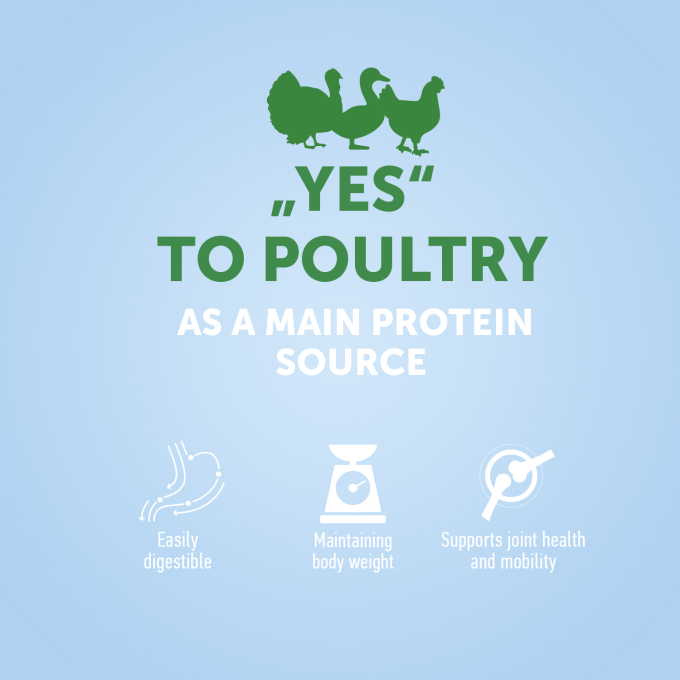 complementary feed – snacks for adult dogs of all breeds with poultry - 3