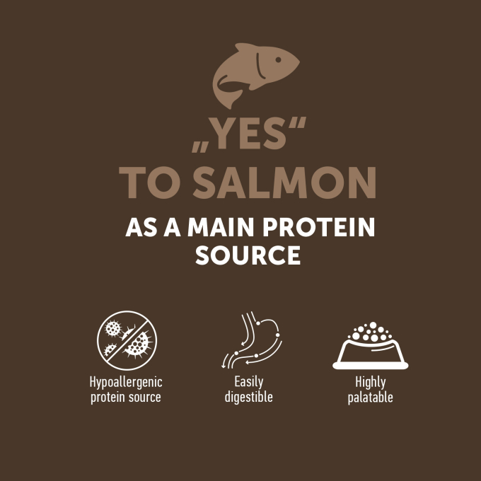 complementary grain free feed – snacks for adult dogs with salmon - 1