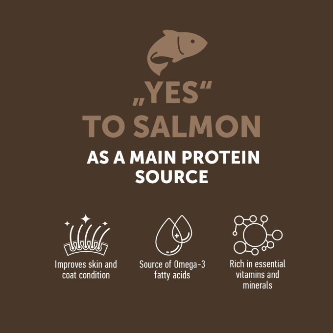 complementary grain free feed – snacks for adult dogs with salmon - 2