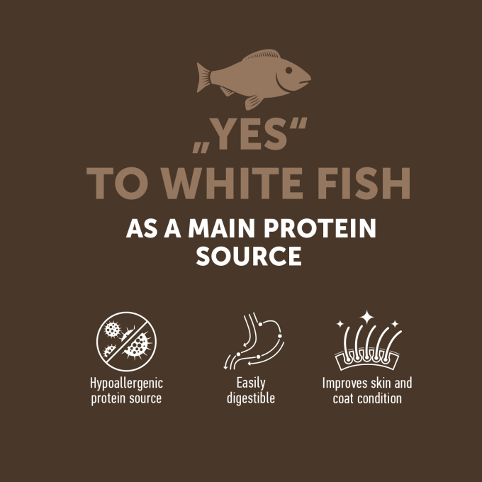 complementary grain free feed – snacks for adult dogs with white fish - 1
