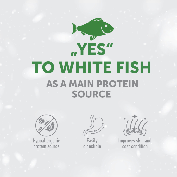 complementary grain free feed – snacks for adult dogs with white fish - 1