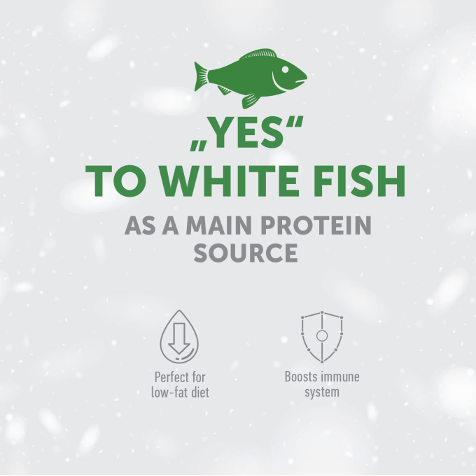 complementary grain free feed – snacks for adult dogs with white fish - 2