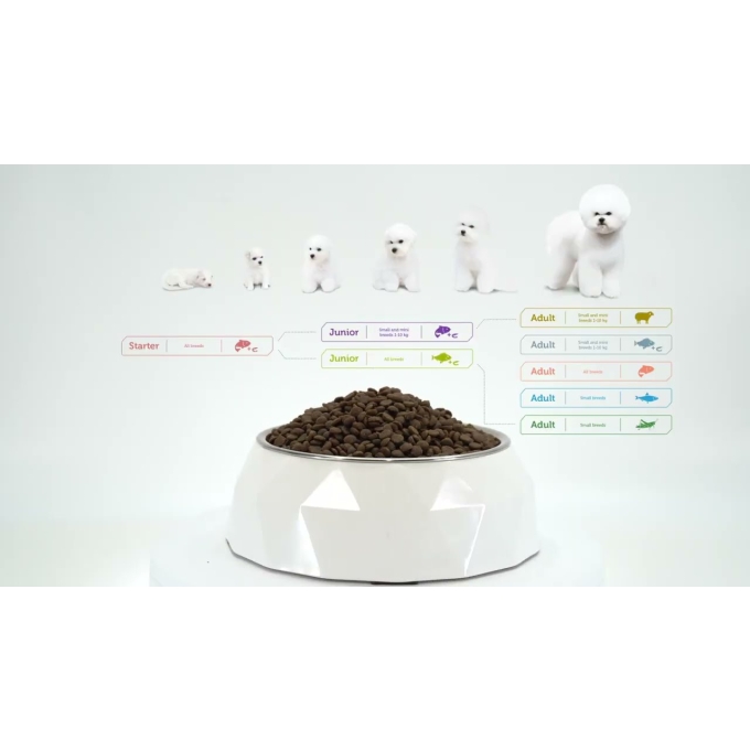 dry grain free food for puppies of all breeds with white coat, with salmon - 21