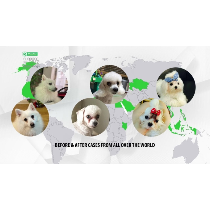 dry grain free food for adult dogs of small breeds with white coat, with herring  - 19