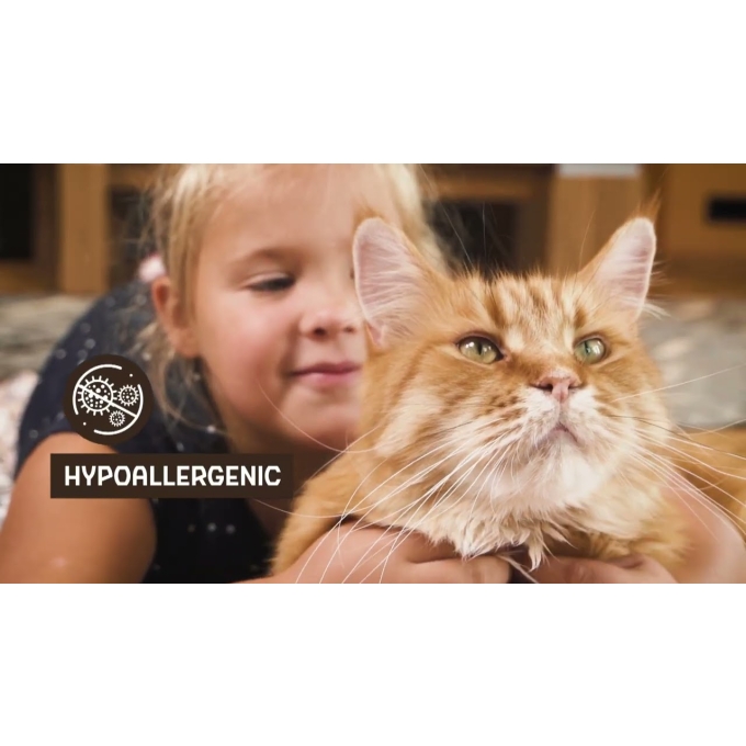 dry grain free food for senior cats with salmon - 12