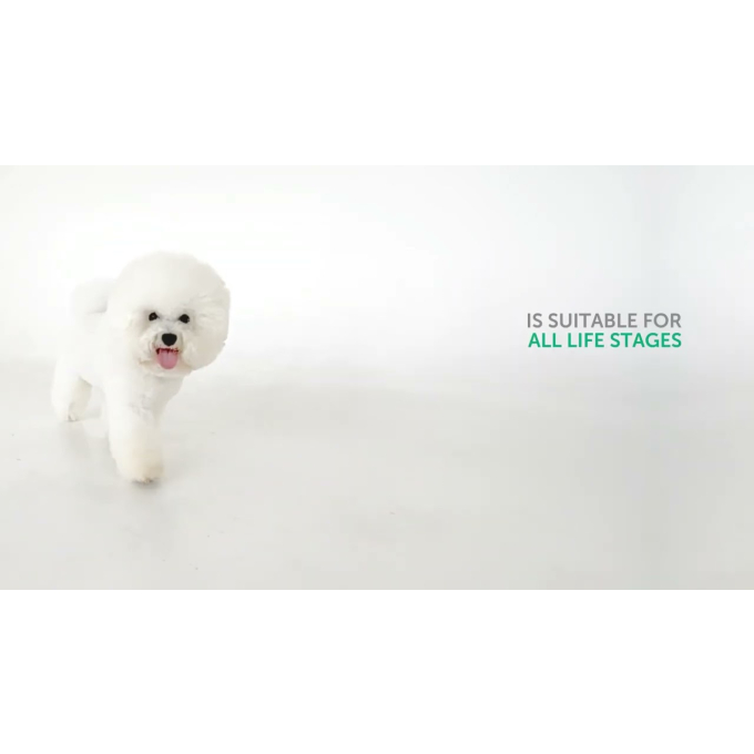 dry pet food with white fish for growing dogs of all sizes with white coat - 13