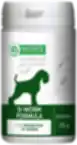 Complementary feed for adult dogs for prevention of worms