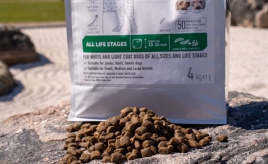 Dog food with insect proteins. Is it beneficial for the dog&#039;s health or is ir just a trend?