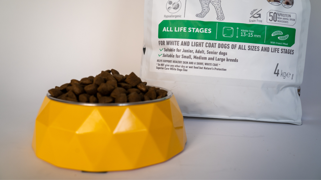 Do you need to change your dogs food?