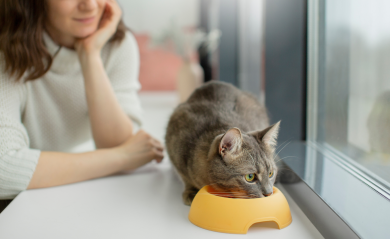 Homemade vs. Commercial Pet Food: Pros and Cons