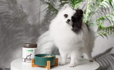 Supplements for Pets: When and What to Consider