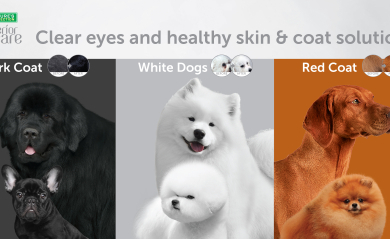 COMING SOON: Tailored Solutions for Coat Colors. All Life Stages