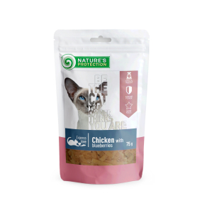 snack for cats with chicken and blueberries
