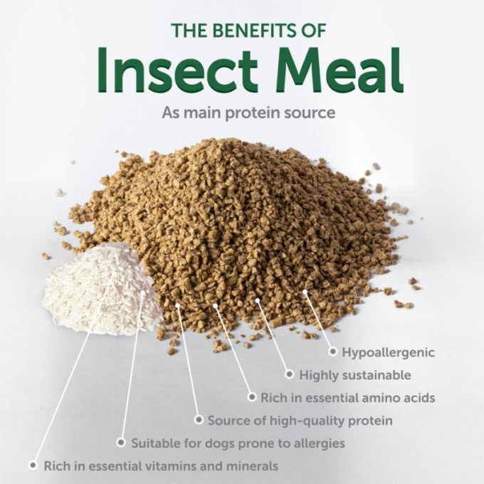 complementary feed - snacks to support endurance with insects and rice for adult all breed dogs with white coat - 1