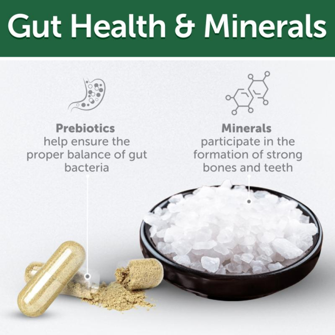 complementary feed - snacks to support endurance with insects and rice for adult all breed dogs with white coat - 5