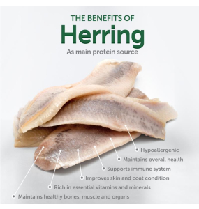 dry grain free pet food with herring for adult dogs of small breeds with white coat