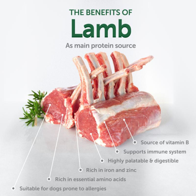 complementary grain free feed - snacks to support mobility and joint health with lamb for adult all breed dogs with white coat - 3
