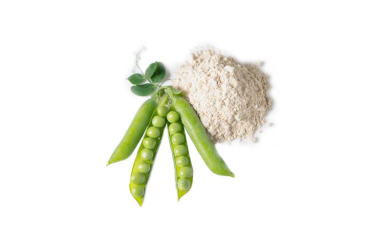 Pea protein Pea protein