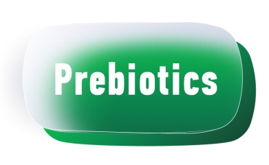 Prebiotics