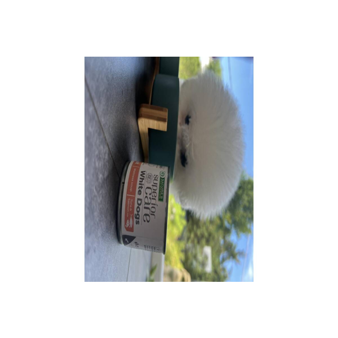White Dogs complementary feed - soup for adult dogs of all breeds with salmon and tuna - 7