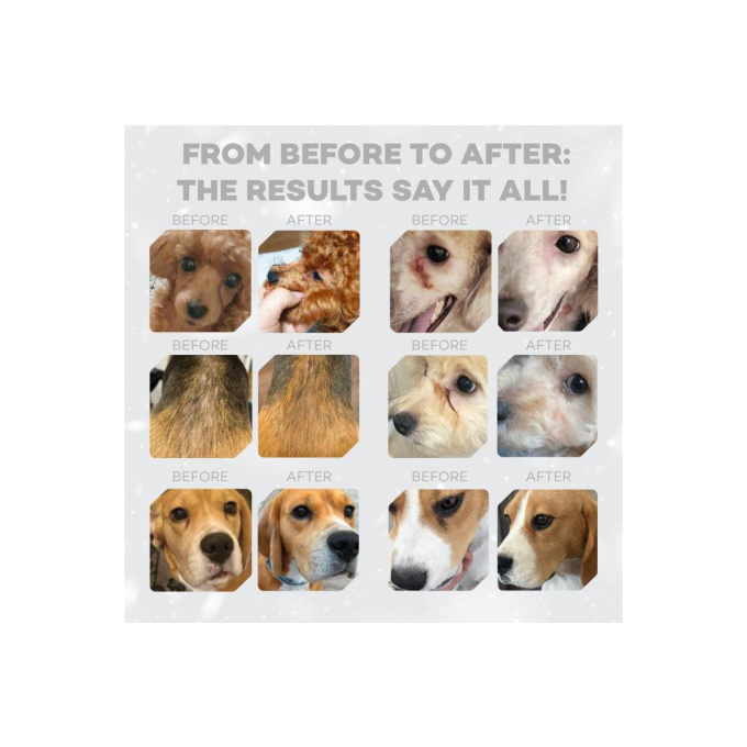 dry grain free food for adult dogs of small breeds with red coat, with lamb  - 13