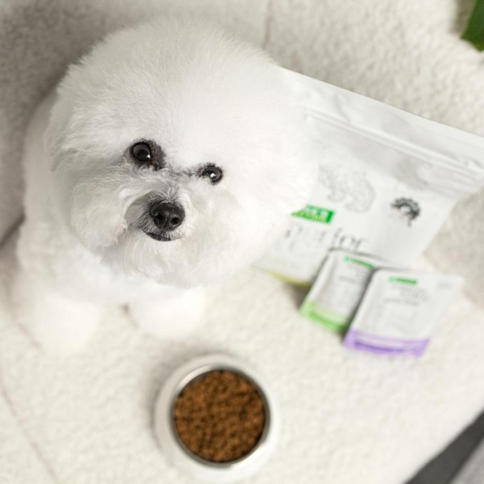 dry grain free food for adult dogs of small breeds with white coat, with insect  - 3