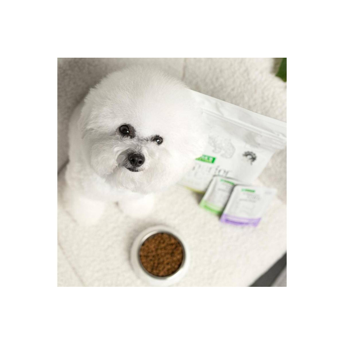 dry grain free food for adult dogs of small breeds with white coat, with insect  - 1