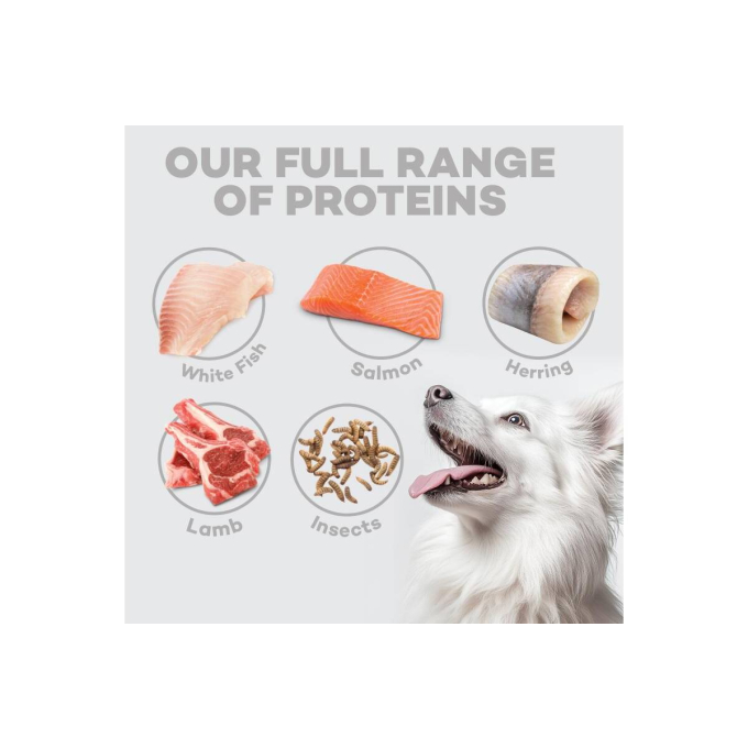 dry pet food with white fish for dogs of all sizes and life stages with white coat - 10