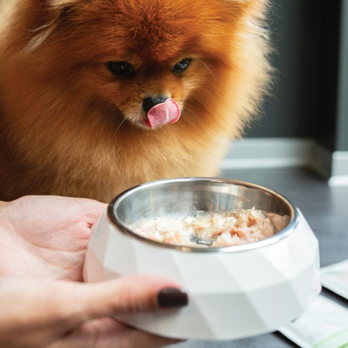 wet food supplement with tuna for adult red-coated dogs of all breeds - 6