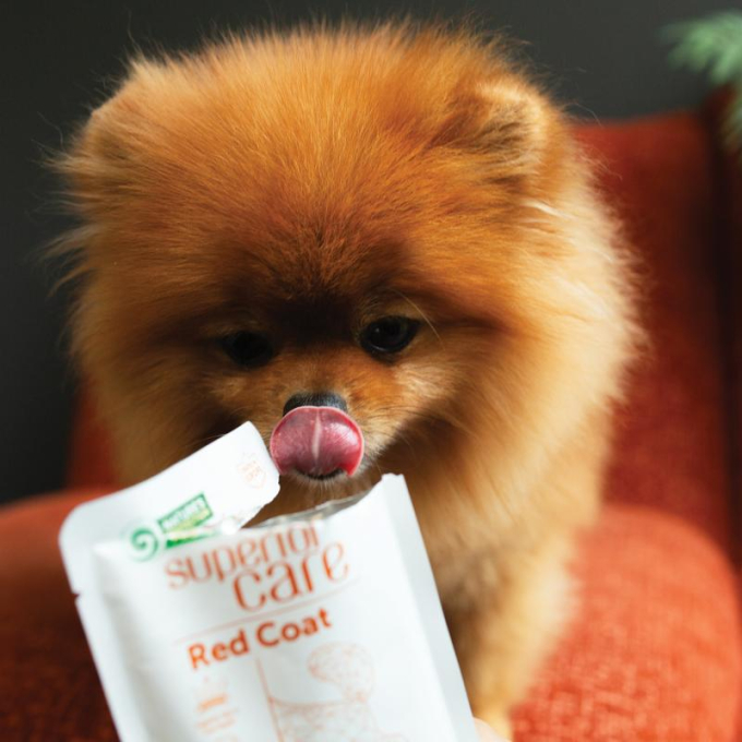 wet food supplement with tuna for adult red-coated dogs of all breeds - 5