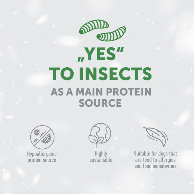 complementary grain free feed - snacks to support healthy growth and development with insects for junior all breed dogs with white coat - 1