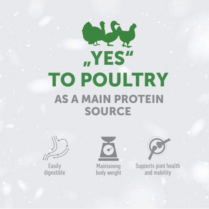 complementary feed - snacks to support urinary with poultry for adult cat - 2