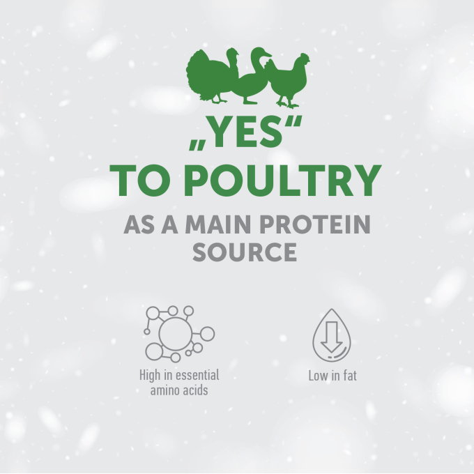complementary feed - snacks to support urinary with poultry for adult cat - 3