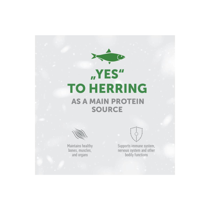 dry grain free pet food with herring for adult all breed cats with red coat - 4