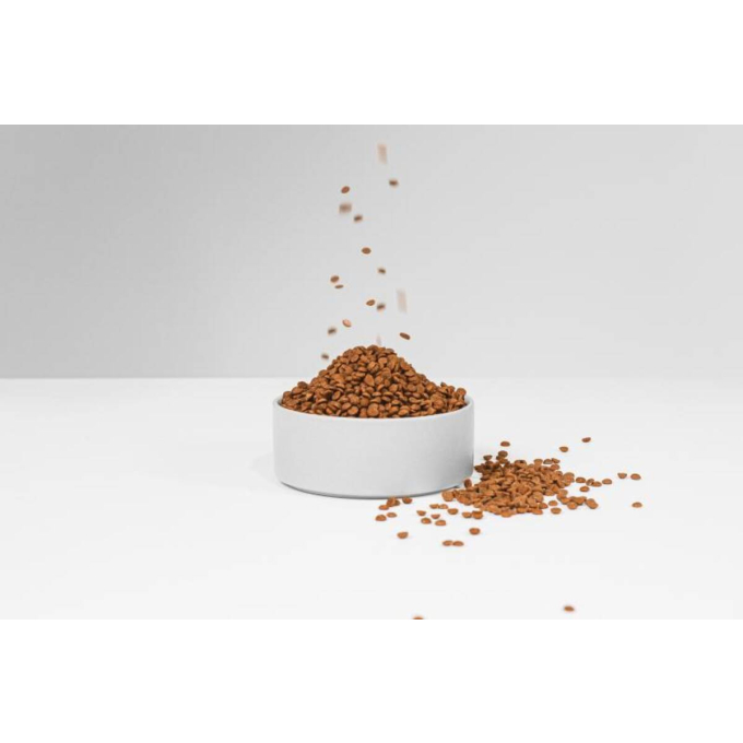 dry grain free food for adult dogs of small breeds with red coat, with lamb  - 6