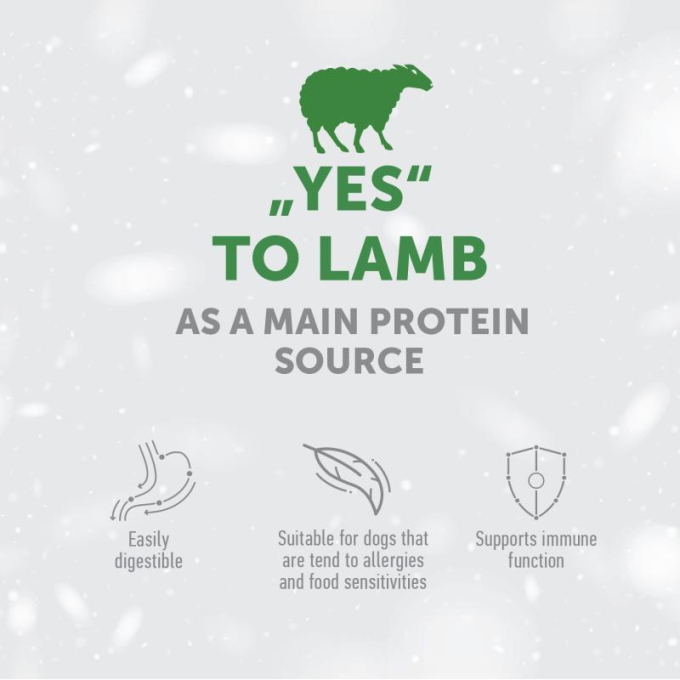 dry food for adult dogs of small breeds with sensitive skin and stomach, with lamb - 2