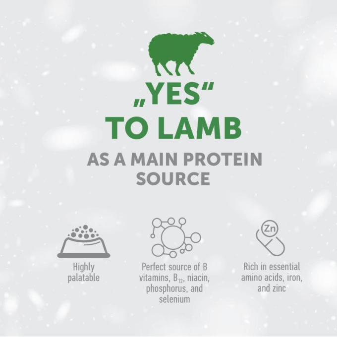 dry food for adult dogs of small breeds with sensitive skin and stomach, with lamb - 3