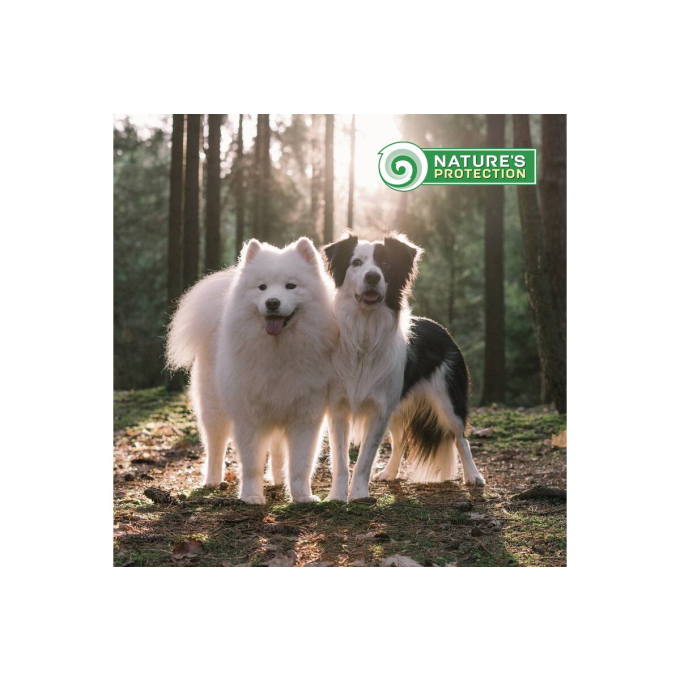 dry food for junior large breed dogs with poultry - 8