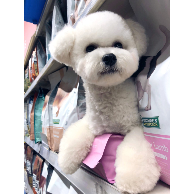 dry food for junior all breed dogs with lamb - 9