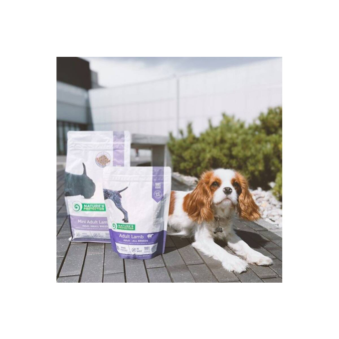 dry food for adult dogs of all breeds with lamb - 9