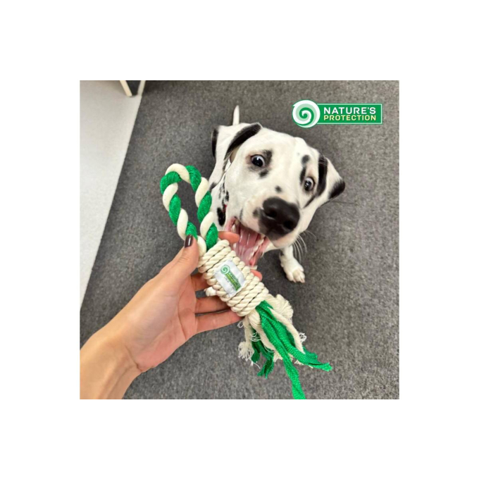 pet toy with rope - 3